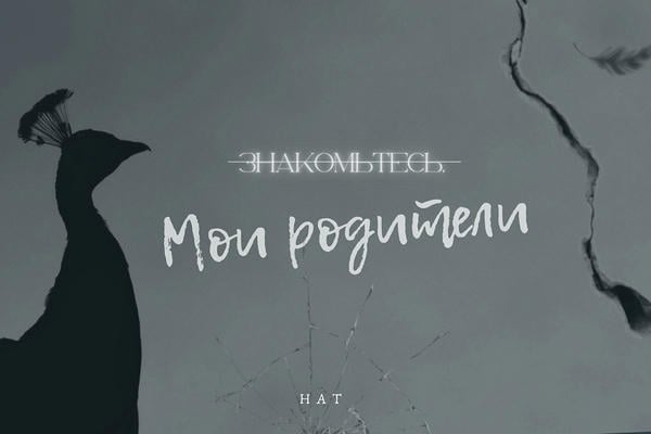 Знакомьтесь, мои родители