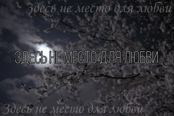 Здесь не место для любви