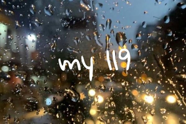 my 119