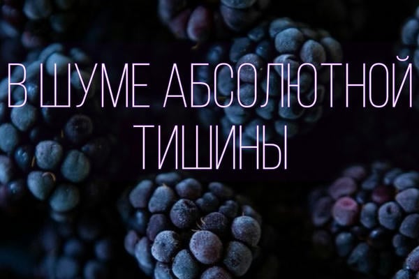 В шуме абсолютной тишины