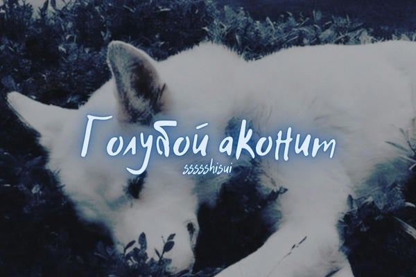 Голубой аконит