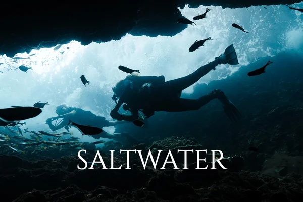 Saltwater