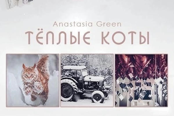 Тёплые коты