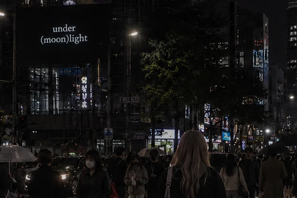Under (moon)light
