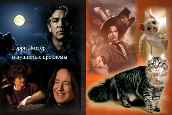 Гарри Поттер и Пушистые проблемы