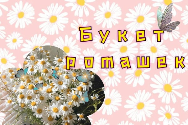 Букет ромашек