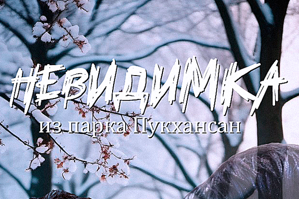 Невидимка из парка Пукхансан