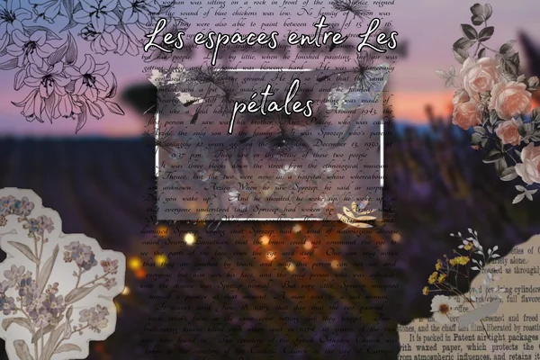 Les espaces entre les pétales