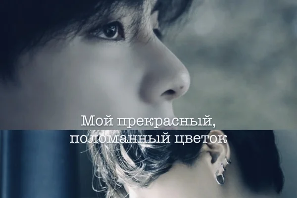 Мой прекрасный, поломанный цветок.