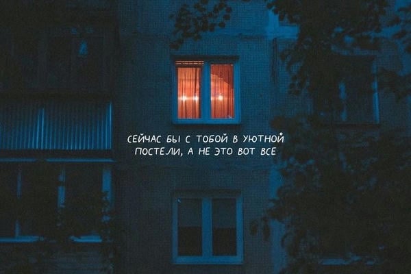 Молоко и мёд