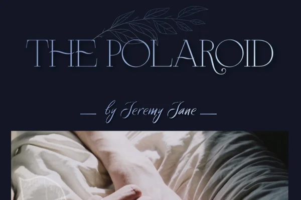 the polaroid
