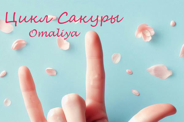 Цикл Сакуры