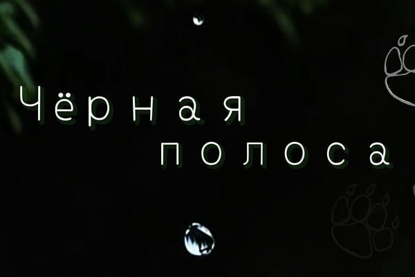 Чёрная полоса
