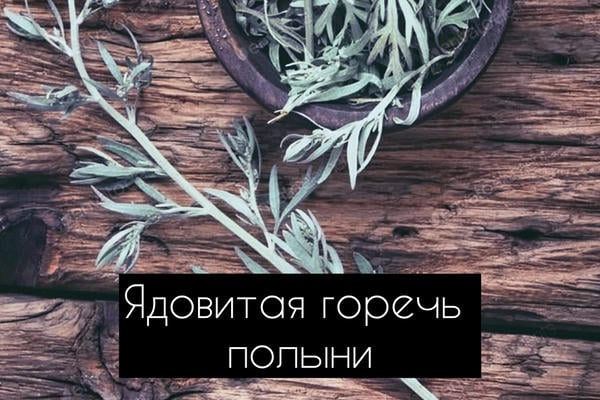 Ядовитая горечь полыни