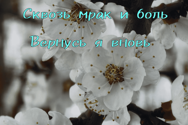 Сквозь мрак и боль, вернусь я вновь
