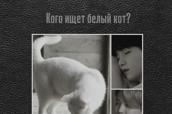 Кого ищет белый кот?