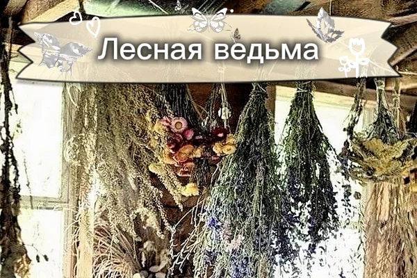 Лесная ведьма