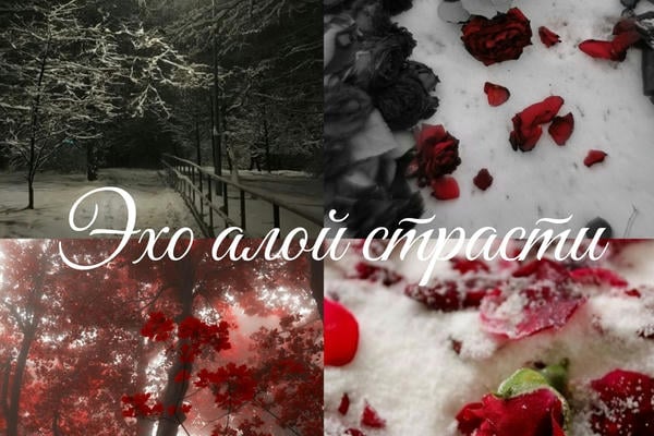 Эхо алой страсти