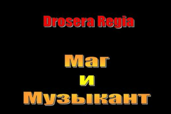 Маг и Музыкант