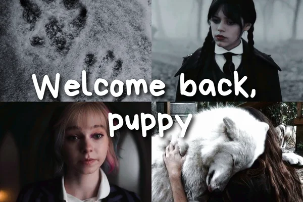 Welcome back, puppy
