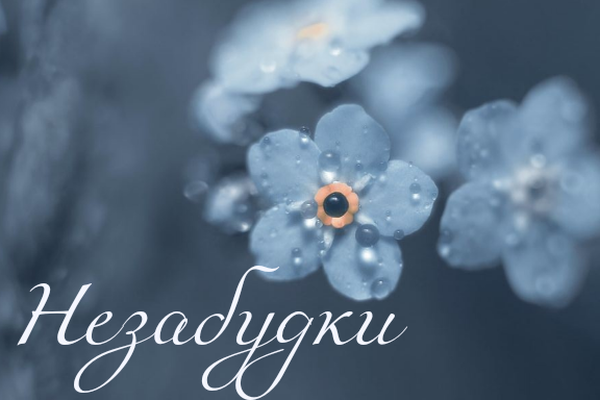 Незабудки