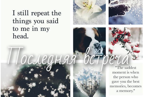 Последняя встреча
