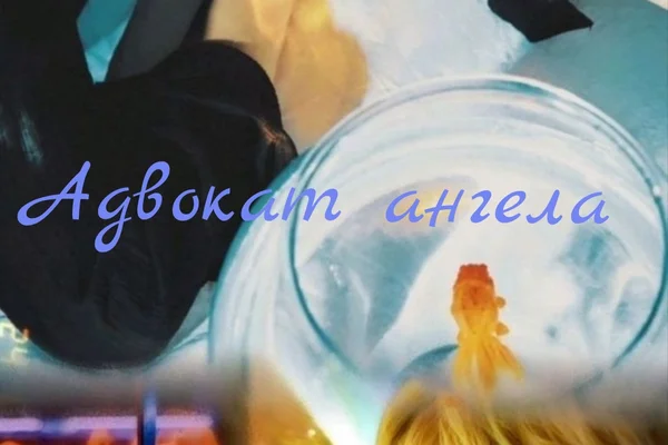 Адвокат ангела