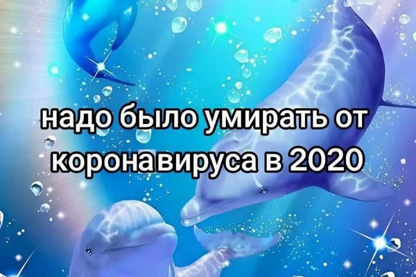 инфекция