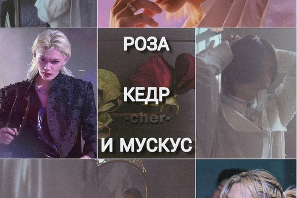 Роза, кедр и мускус