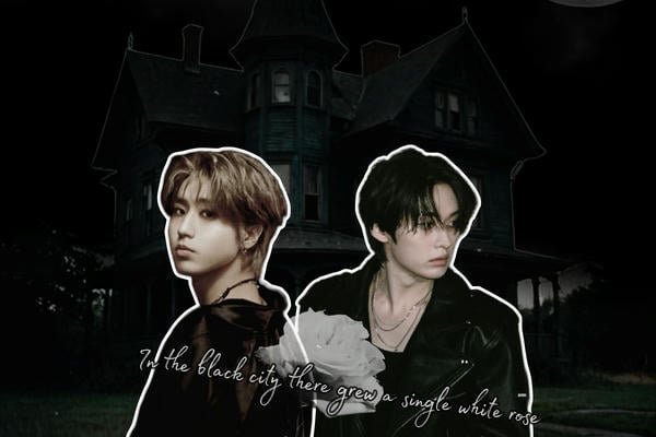 White rose and black city