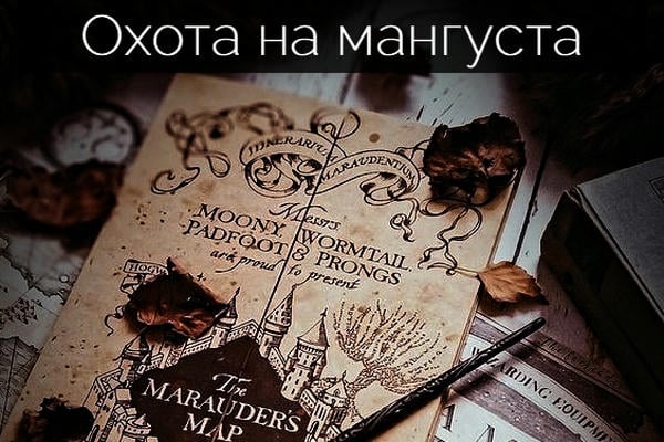 Охота на мангуста