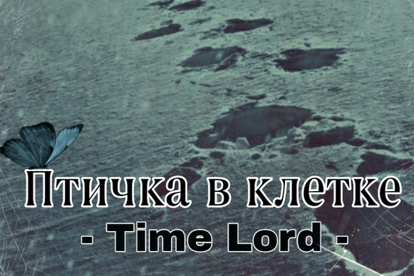 Птичка в клетке