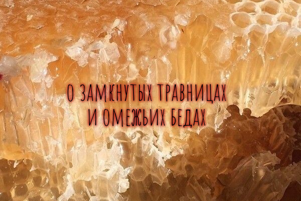 о замкнутых травницах и омежьих бедах
