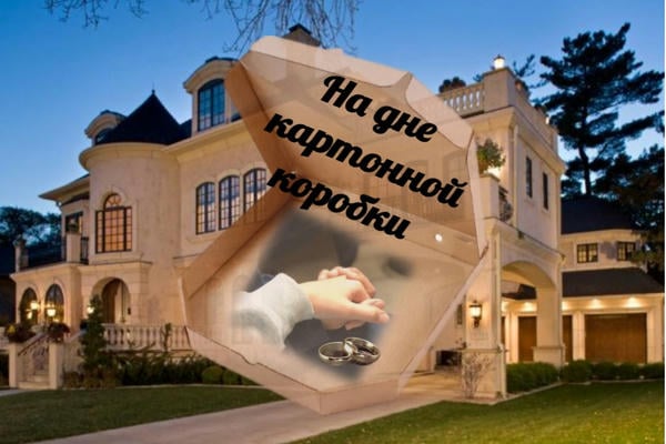 На дне картонной коробки