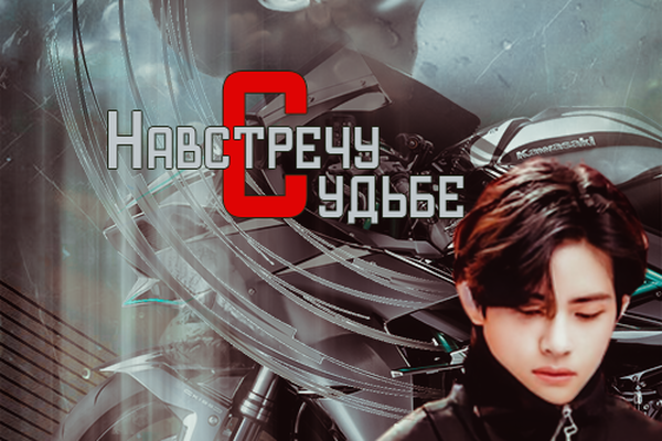 Навстречу судьбе
