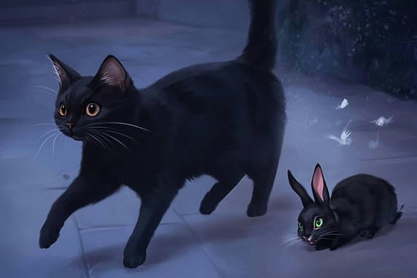 Кошачьи заморочки
