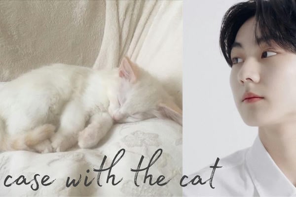 Case with the cat