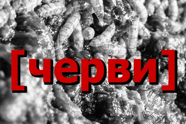 черви