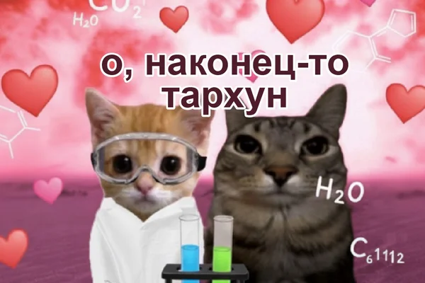 Эй, эльф, похимичим?