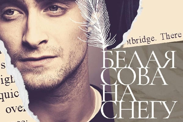 Белая сова на снегу