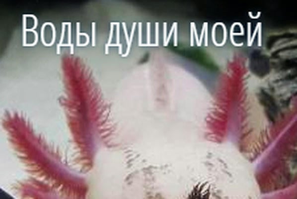 Воды души моей