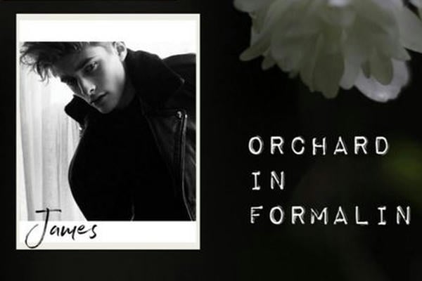 Оrchard in formalin