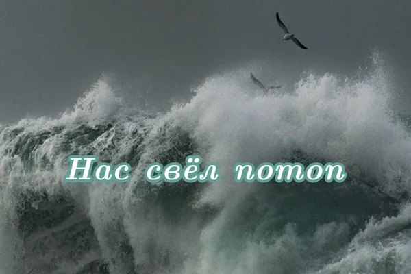 Нас свёл потоп