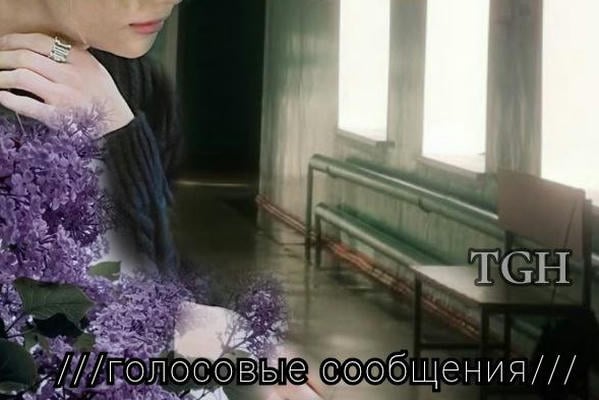 ///голосовые сообщения///