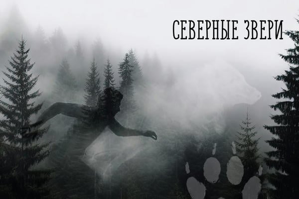 Северные звери