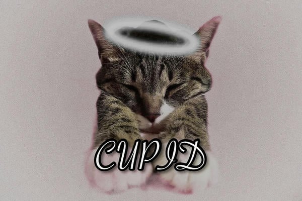 CUPID