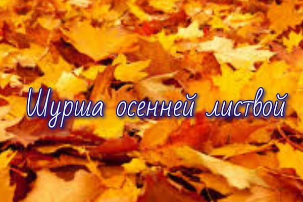 Шурша осенней листвой