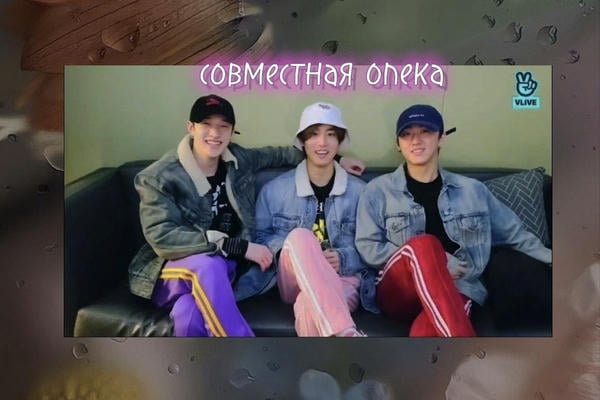 совместная опека