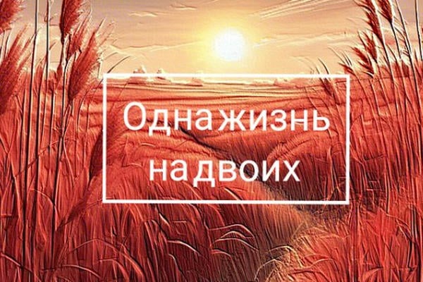 Одна жизнь на двоих