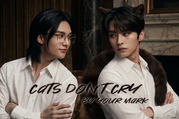 cats don't cry
